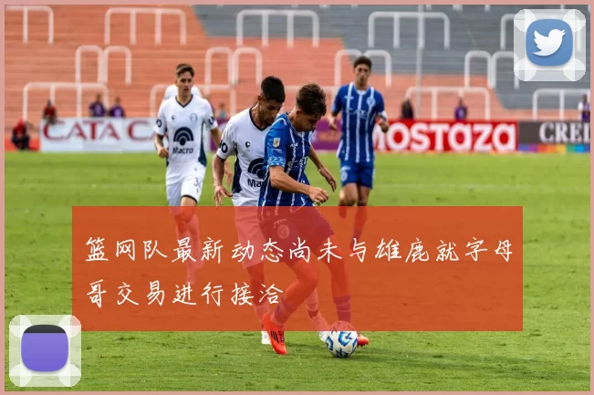 篮网队最新动态尚未与雄鹿就字母哥交易进行接洽