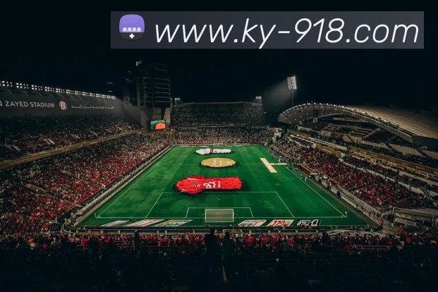 App Interface Preview